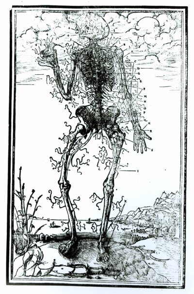 Vasculair Systeem van het Lichaam door Andreas Vesalius