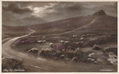 Hay Tor, Dartmoor (kleurenfoto) door Andrew Beer