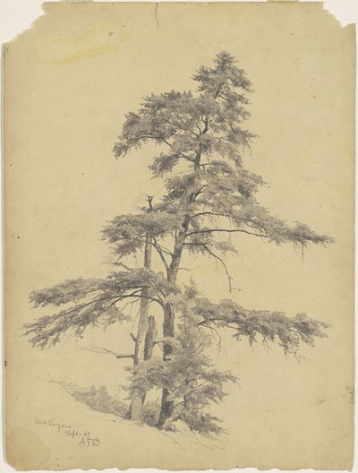 Bomen, West Virginia door Andrew Fisher Bunner