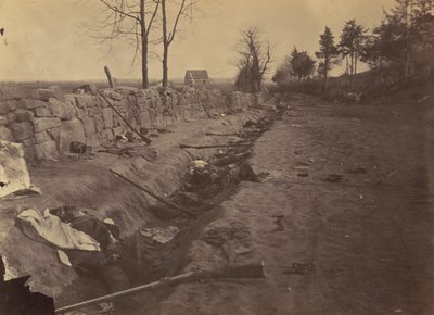 Stenen Muur, Achter Fredericksburg, met Rebellen Doden door Andrew Joseph Russell