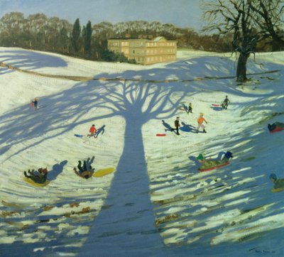 Calke Abbey House, Winter, 2002 door Andrew Macara