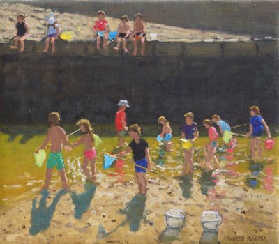 Krabben in de haven, Bude, Cornwall door Andrew Macara