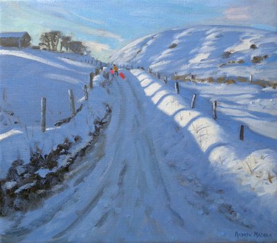 Duivenkop door Andrew Macara