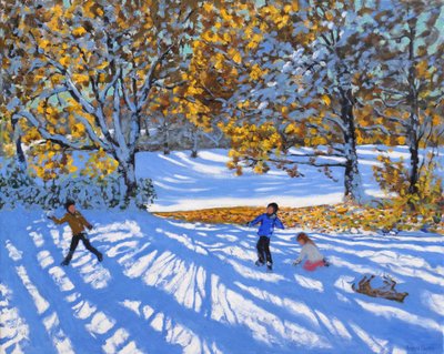 Vroege sneeuw, Allestree Park, 2017 door Andrew Macara