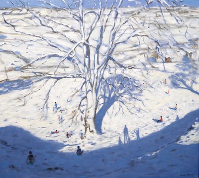 Heuvel, Elton nabij Rowsley, 2008 door Andrew Macara