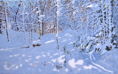 November Sneeuw, Allestree Woods, Derby door Andrew Macara