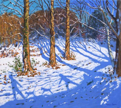 November sneeuw, Allestree Park, Derby, 2017 door Andrew Macara