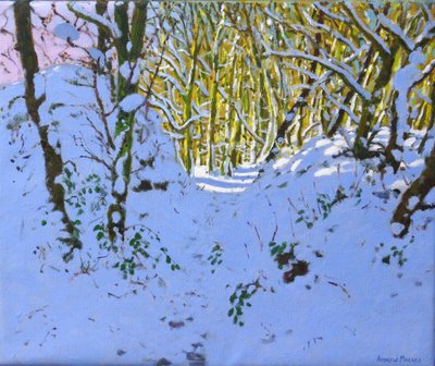 Pad door het bos in de winter, Derbyshire door Andrew Macara