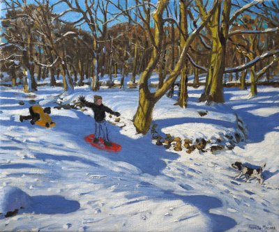 Rode slee, Lomberdale Hall, Derbyshire, 2014 door Andrew Macara