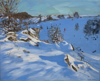 Sleeën, Derbyshire, 2011 door Andrew Macara