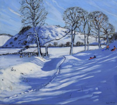 Sleeën, Derbyshire Peak District, 2012 door Andrew Macara
