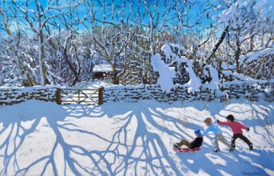 Sleeën, Gambols Lane, Dovehead, High Peak, Derbyshire door Andrew Macara