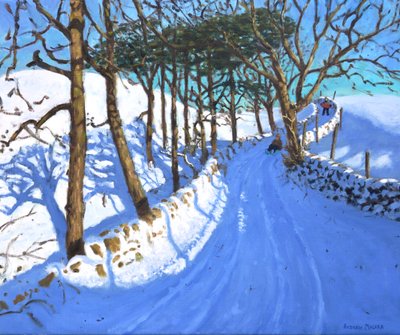 Sleeën in het Peak District van Derbyshire, 2023 door Andrew Macara