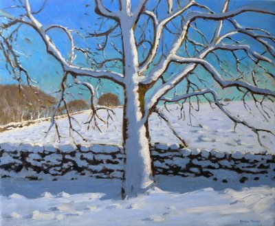 Met Sneeuw Bedekte Boom, 2011 door Andrew Macara