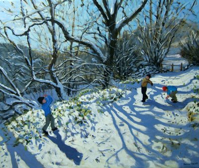 Sneeuwballengevecht, Derbyshire door Andrew Macara