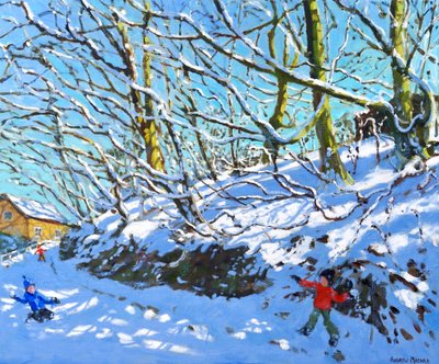 Sneeuwballen, Upper Hulme, Staffordshire door Andrew Macara