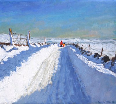Sneeuwgeruimde weg, Derbyshire Peak District, 2019 door Andrew Macara