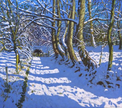De tunnel, Calke Abbey, Ticknall, Derby door Andrew Macara