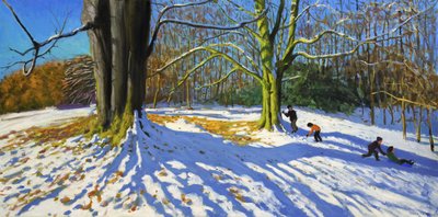 Top van Allestree Park, 2014 door Andrew Macara