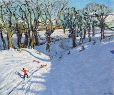 Winter, Rowsley, Derbyshire, 2014 door Andrew Macara