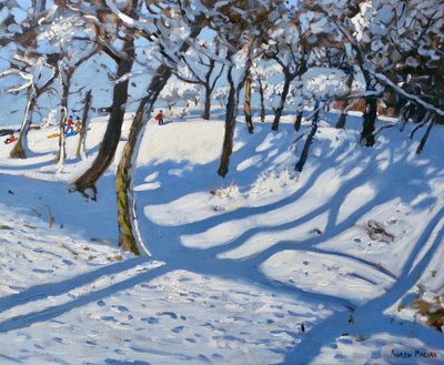 Winter Ladmanlow, Buxton, Derbyshire door Andrew Macara