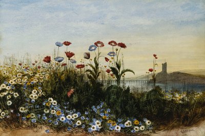 Ferry Carrig Castle, Co. Wexford, gezien door een bank van wilde bloemen door Andrew Nicholl