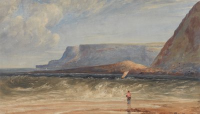 De Kust van Antrim door Andrew Nicholl