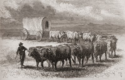 Rijden met ossen over de grote vlaktes van Amerika in 1867, illustratie uit 
