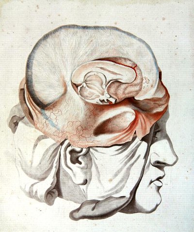 De Schedel, uit 