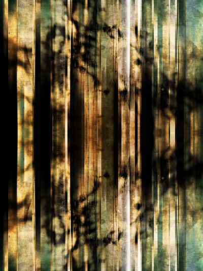Abstracte bosschaduwen door Angelo Cerantola