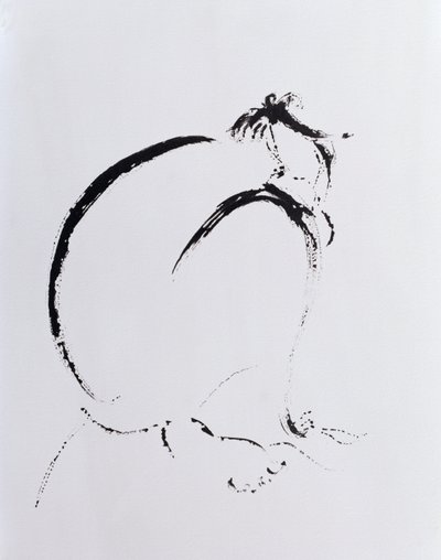 Gevouwen Naakt Middernacht, 2006 door Angie Kenber
