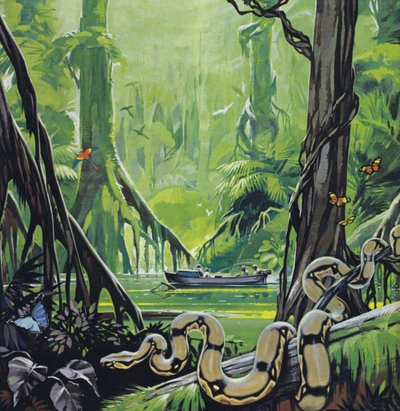 Verkenning van de rivier de Amazone (kleurenlitho) door Angus McBride