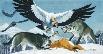 Teratornis door Angus McBride
