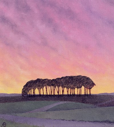 Verre Dennen door Anna Phillips