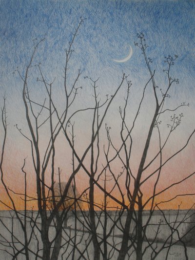 Vanuit mijn raam, 2011 door Anna Phillips