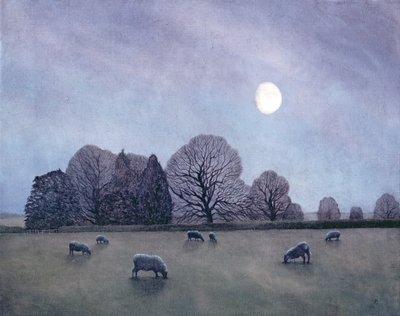 Maanverlichte nacht, 2004 door Anna Phillips