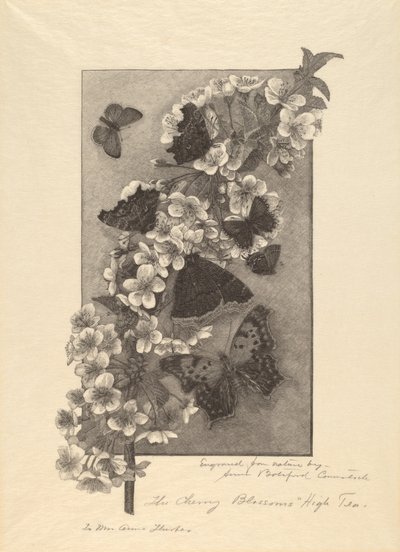 De Kersenbloesems - High Tea door Anna Botsford Comstock