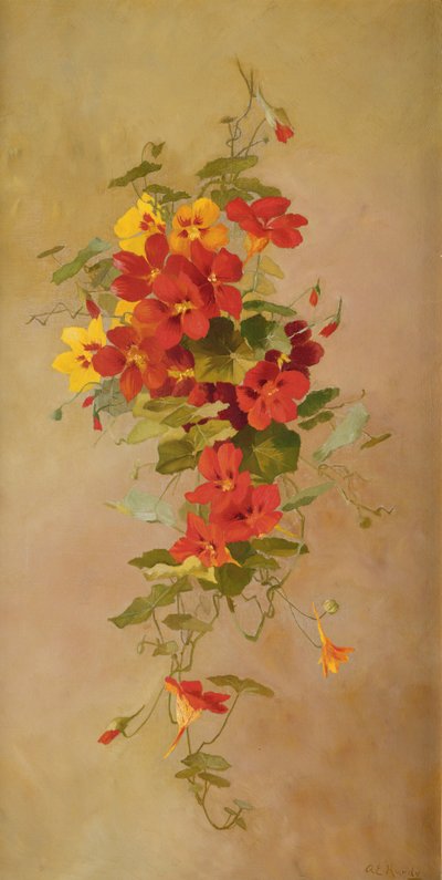 Oost-Indische kers door Anna Eliza Hardy