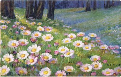 Madeliefjes, ansichtkaart, 1940s door Anna Haller