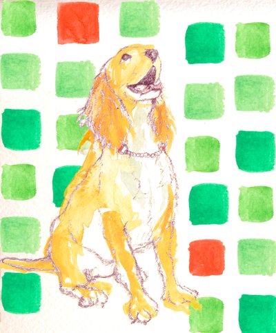 Hondje door Anna Platts
