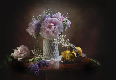  door Anna Qu