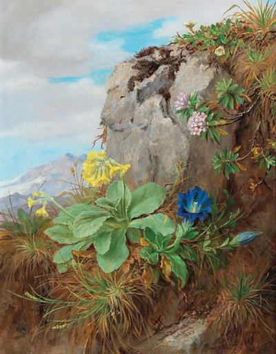 Alpine bloemen door Anna Stainer Knittel