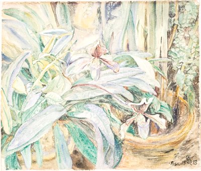 Orchideeën, Botanische Tuin, Pisa door Anna Syberg