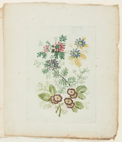 Bord, uit Nieuwe Suite van Notitieboekjes van Ideale Bloemen voor Gebruik door Tekenaar en Schilder door Anne Allen