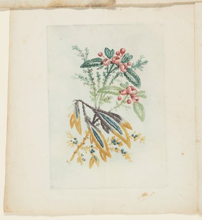 Plaat, uit Nieuwe suite van notitieboeken van ideale bloemen voor gebruik door tekenaars en schilders door Anne Allen