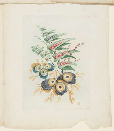 Blad, uit Nieuwe Suite van Notitieboekjes van Ideale Bloemen voor Gebruik door Tekenaar en Schilder door Anne Allen