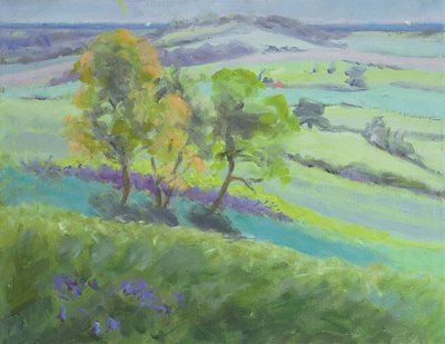 Naar Winchelsea, Sussex, met blauwe bloemen in de lente door Anne Durham