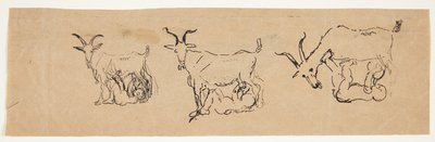 Zeuskind drinkt geitenmelk. 3 studies. door Anne Marie Carl Nielsen