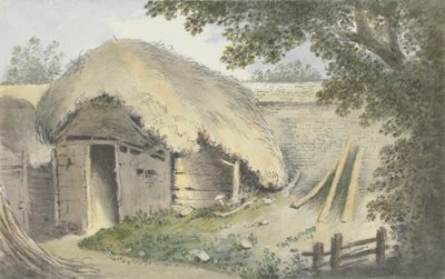 Strohut door Anne Peacock