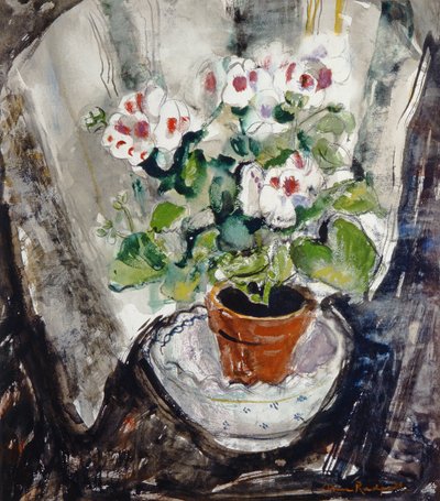 Pelargonium door Anne Redpath